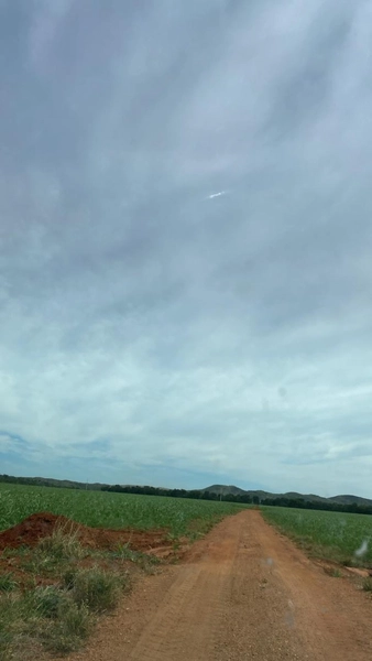 Fazenda para SOJA no Mato Grosso - 554 ha plantando toda área útil: 5ª foto da galeria de imagens do imóvel