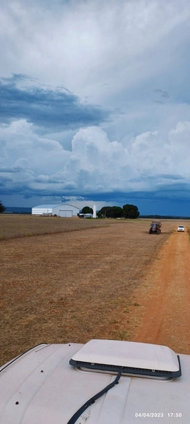 Fazenda para SOJA no Mato Grosso - 554 ha plantando toda área útil: 4ª foto da galeria de imagens do imóvel