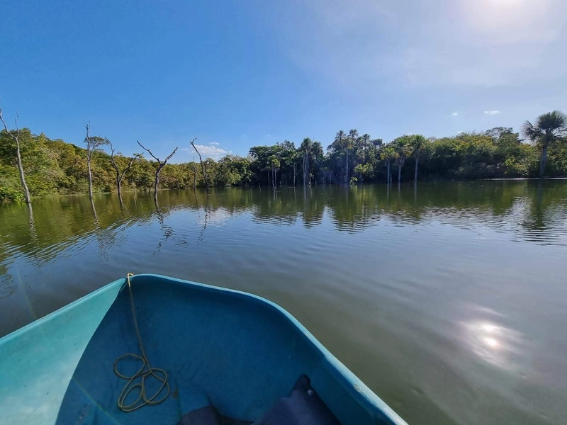 Fazenda para SOJA no Mato Grosso - 554 ha plantando toda área útil: 13ª foto da galeria de imagens do imóvel