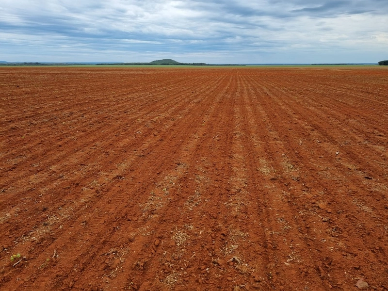 Fazenda para SOJA no Mato Grosso - 554 ha plantando toda área útil: 12ª foto da galeria de imagens do imóvel