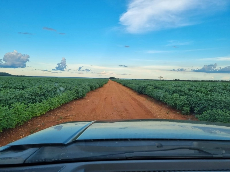 Fazenda para SOJA no Mato Grosso - 554 ha plantando toda área útil: 16ª foto da galeria de imagens do imóvel