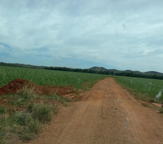 Fazenda para SOJA no Mato Grosso - 554 ha plantando toda área útil: 17ª foto da galeria de imagens do imóvel