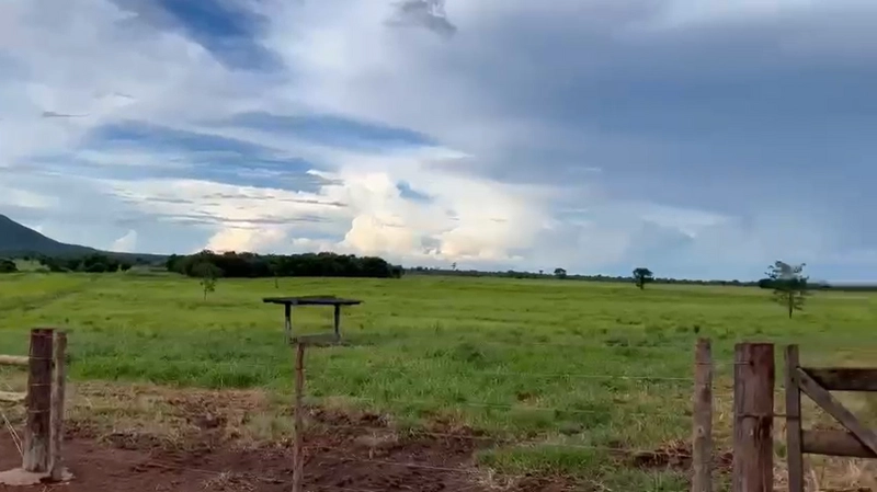 Fazenda DUPLA APTIDÃO à venda, 362 alq. (1.752 Ha), em Flores de Goiás: 2ª foto da galeria de imagens do imóvel