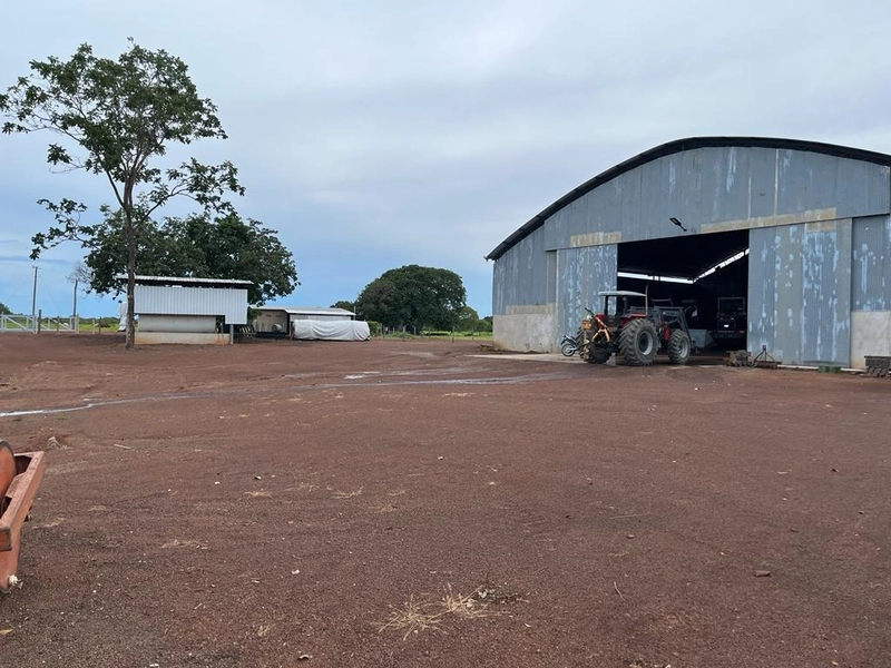 Fazenda DUPLA APTIDÃO à venda, 362 alq. (1.752 Ha), em Flores de Goiás: 23ª foto da galeria de imagens do imóvel