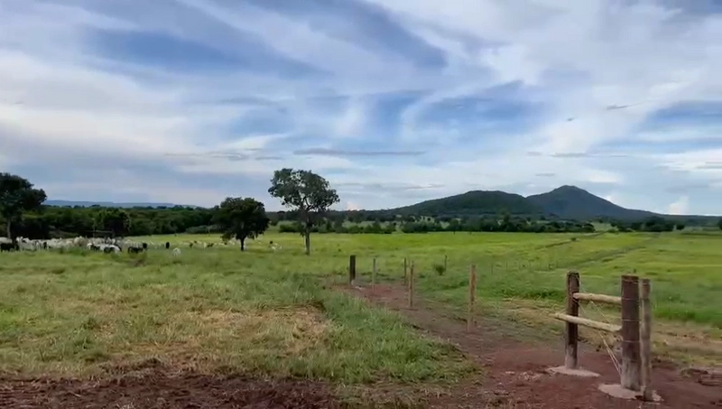 Fazenda DUPLA APTIDÃO à venda, 362 alq. (1.752 Ha), em Flores de Goiás: 1ª foto da galeria de imagens do imóvel