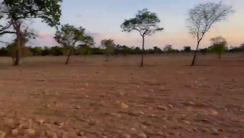Fazenda DUPLA APTIDÃO à venda, 362 alq. (1.752 Ha), em Flores de Goiás: 9ª foto da galeria de imagens do imóvel