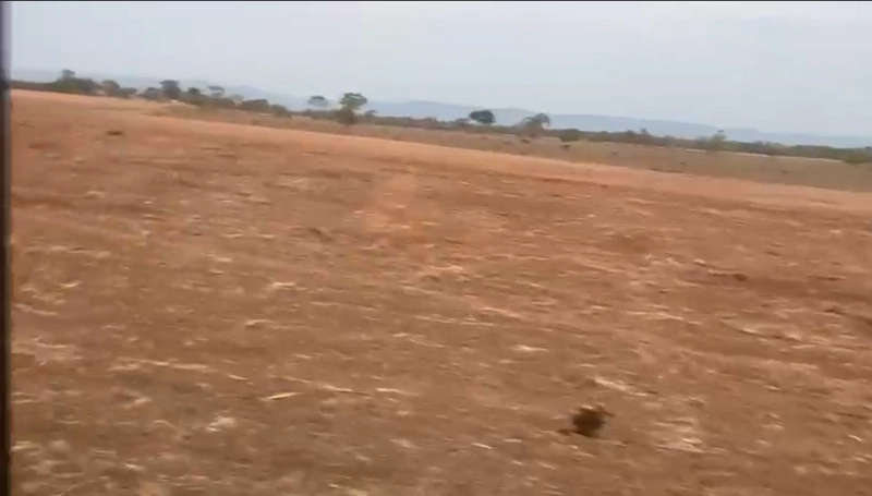 Fazenda DUPLA APTIDÃO à venda, 362 alq. (1.752 Ha), em Flores de Goiás: 7ª foto da galeria de imagens do imóvel