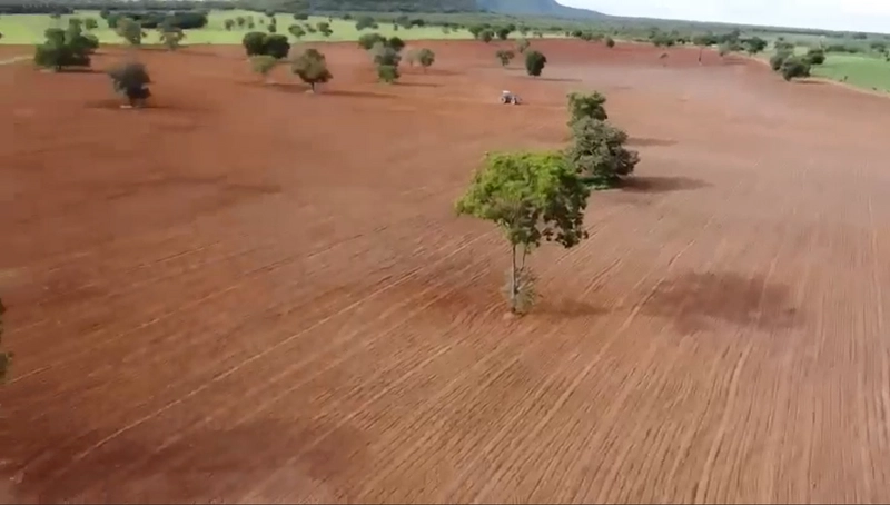 Fazenda DUPLA APTIDÃO à venda, 362 alq. (1.752 Ha), em Flores de Goiás: 11ª foto da galeria de imagens do imóvel