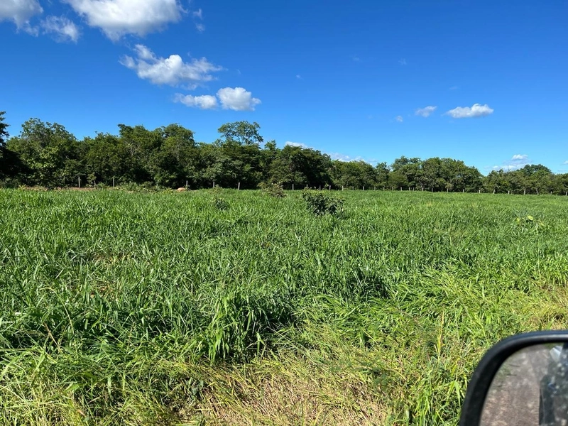 Fazenda DUPLA APTIDÃO à venda, 362 alq. (1.752 Ha), em Flores de Goiás: 28ª foto da galeria de imagens do imóvel