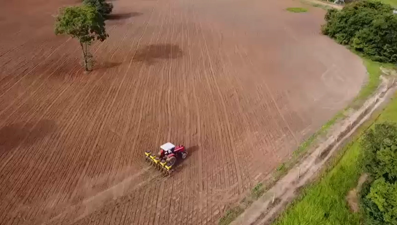 Fazenda DUPLA APTIDÃO à venda, 362 alq. (1.752 Ha), em Flores de Goiás: 10ª foto da galeria de imagens do imóvel