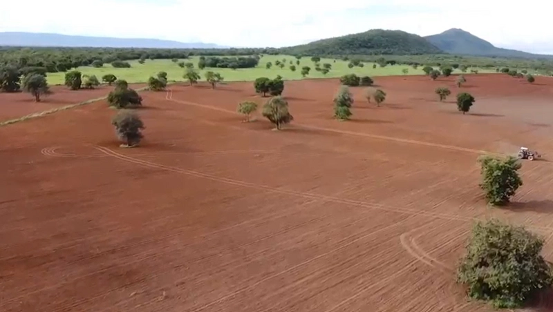 Fazenda DUPLA APTIDÃO à venda, 362 alq. (1.752 Ha), em Flores de Goiás: 13ª foto da galeria de imagens do imóvel