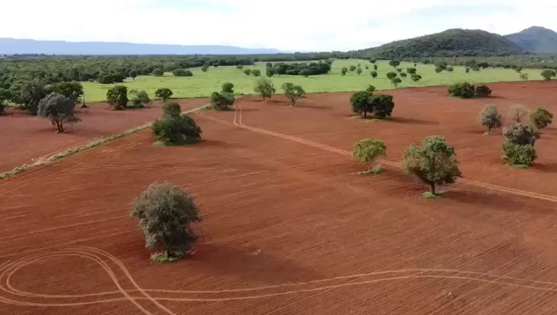 Fazenda DUPLA APTIDÃO à venda, 362 alq. (1.752 Ha), em Flores de Goiás: 14ª foto da galeria de imagens do imóvel
