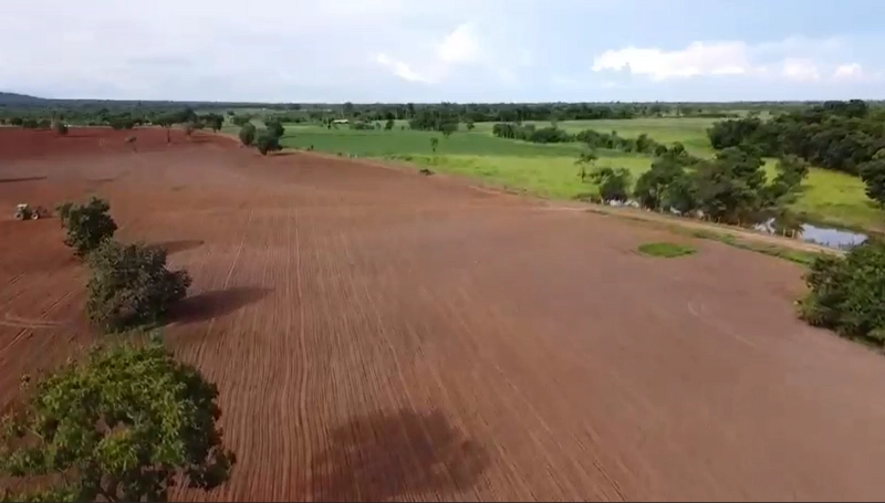 Fazenda DUPLA APTIDÃO à venda, 362 alq. (1.752 Ha), em Flores de Goiás: 12ª foto da galeria de imagens do imóvel