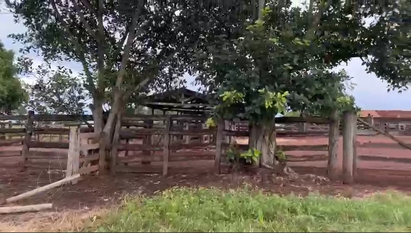 Fazenda DUPLA APTIDÃO à venda, 362 alq. (1.752 Ha), em Flores de Goiás: 3ª foto da galeria de imagens do imóvel