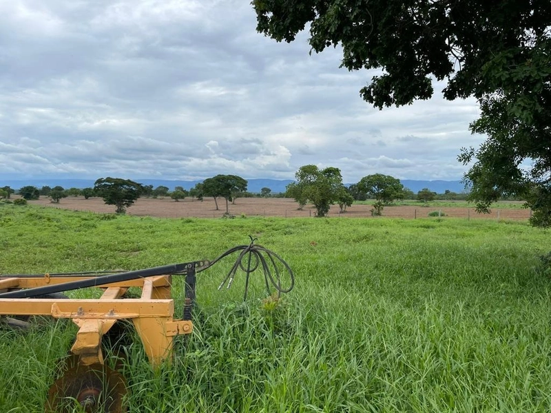 Fazenda DUPLA APTIDÃO à venda, 362 alq. (1.752 Ha), em Flores de Goiás: 27ª foto da galeria de imagens do imóvel