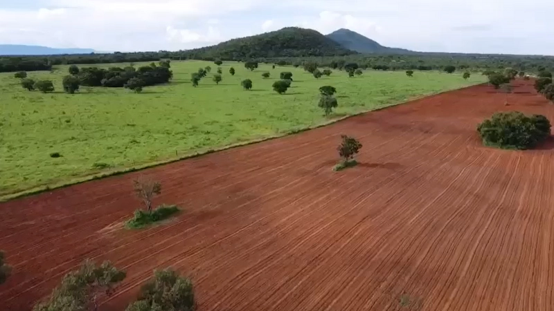 Fazenda DUPLA APTIDÃO à venda, 362 alq. (1.752 Ha), em Flores de Goiás: 15ª foto da galeria de imagens do imóvel