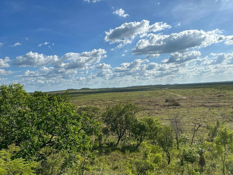 Fazenda para SOJA em Goiatins-TO - 4.912 hectares.: 3ª foto da galeria de imagens do imóvel