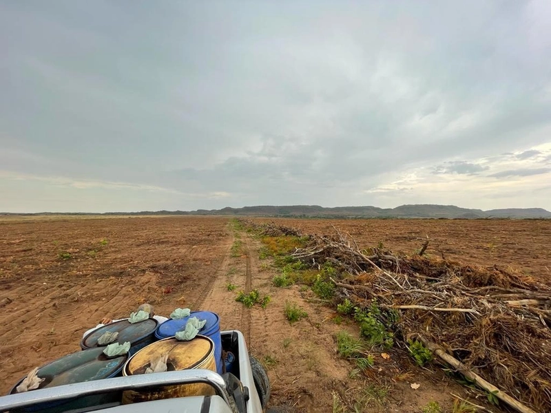 Fazenda para SOJA em Goiatins-TO - 4.912 hectares.: 2ª foto da galeria de imagens do imóvel