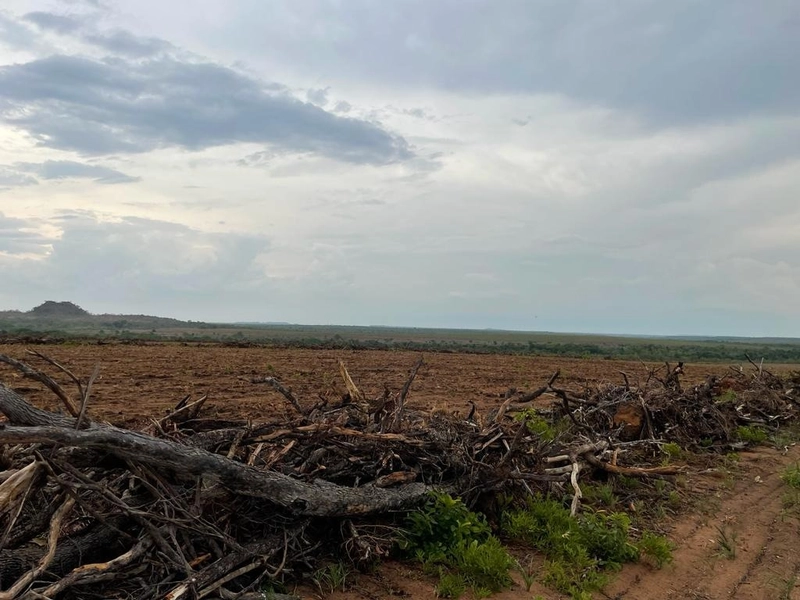 Fazenda para SOJA em Goiatins-TO - 4.912 hectares.: 5ª foto da galeria de imagens do imóvel
