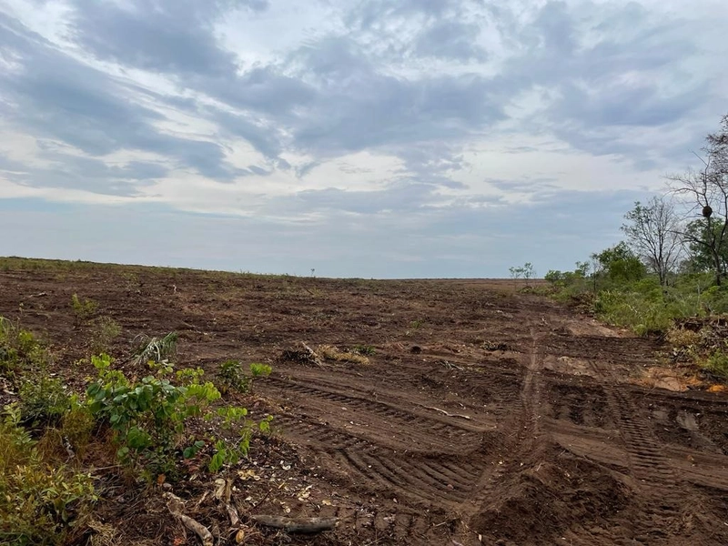 Fazenda para SOJA em Goiatins-TO - 4.912 hectares.: 1ª foto da galeria de imagens do imóvel