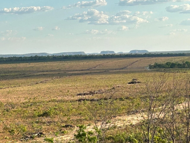 Fazenda para SOJA em Goiatins-TO - 4.912 hectares.: 4ª foto da galeria de imagens do imóvel