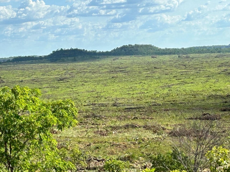 Fazenda para SOJA em Goiatins-TO - 4.912 hectares.: 6ª foto da galeria de imagens do imóvel