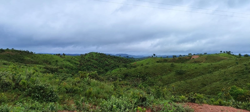 Fazenda para PECUÁRIA em Planaltina de Goiás-GO: 10ª foto da galeria de imagens do imóvel