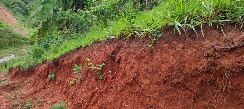 Fazenda para PECUÁRIA em Planaltina de Goiás-GO: 18ª foto da galeria de imagens do imóvel