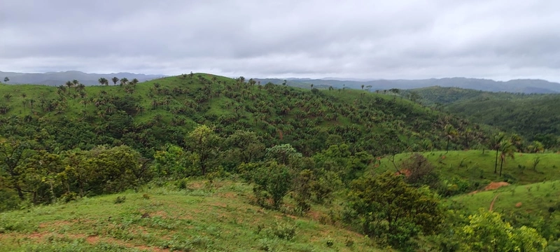 Fazenda para PECUÁRIA em Planaltina de Goiás-GO: 9ª foto da galeria de imagens do imóvel