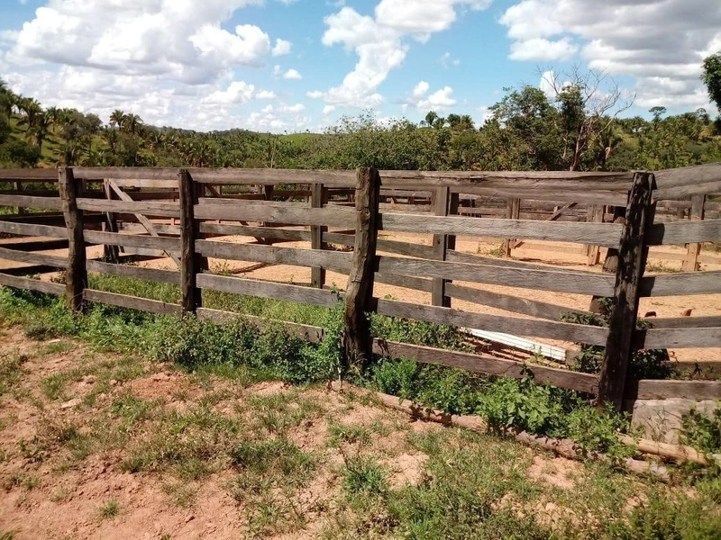 Fazenda para PECUÁRIA em Planaltina de Goiás-GO: 7ª foto da galeria de imagens do imóvel