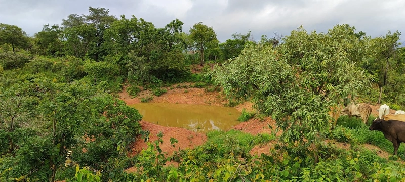 Fazenda para PECUÁRIA em Planaltina de Goiás-GO: 12ª foto da galeria de imagens do imóvel