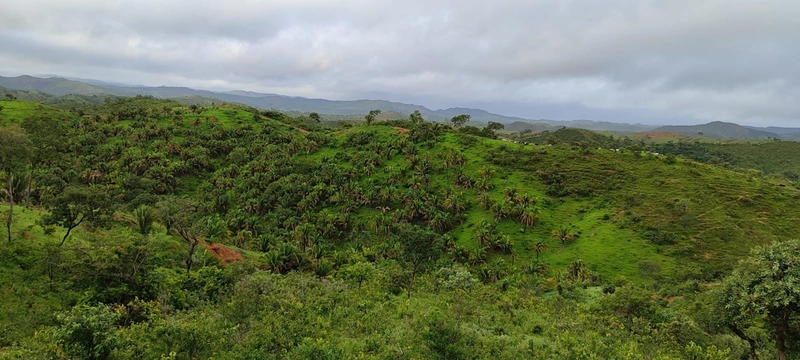Fazenda para PECUÁRIA em Planaltina de Goiás-GO: 16ª foto da galeria de imagens do imóvel