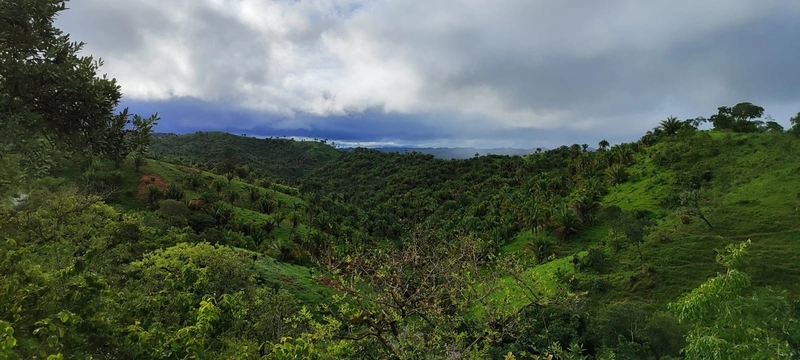 Fazenda para PECUÁRIA em Planaltina de Goiás-GO: 15ª foto da galeria de imagens do imóvel