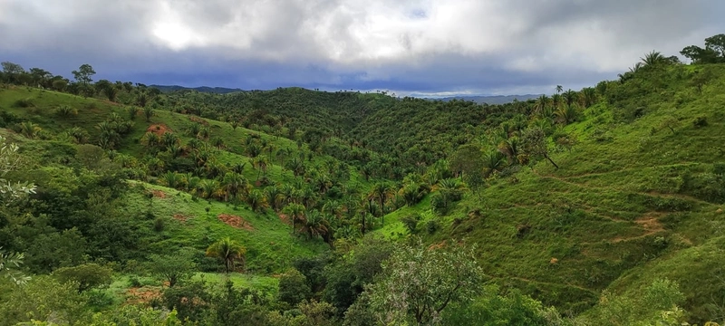 Fazenda para PECUÁRIA em Planaltina de Goiás-GO: 14ª foto da galeria de imagens do imóvel