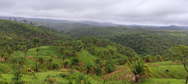 Fazenda para PECUÁRIA em Planaltina de Goiás-GO: 11ª foto da galeria de imagens do imóvel