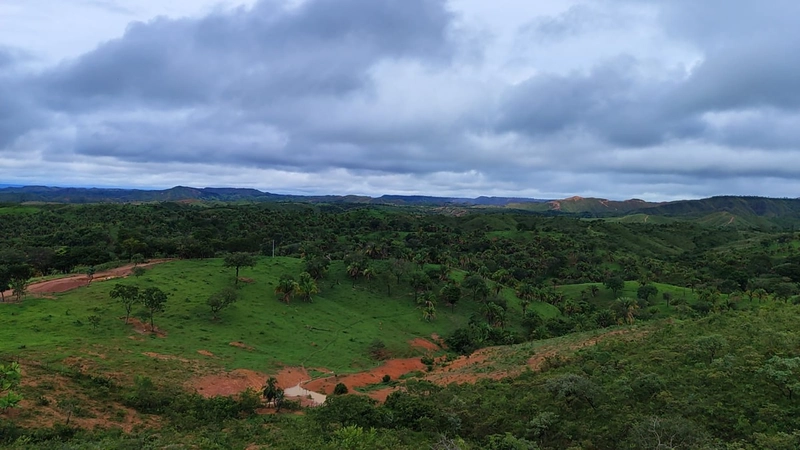 Fazenda para PECUÁRIA em Planaltina de Goiás-GO: 8ª foto da galeria de imagens do imóvel
