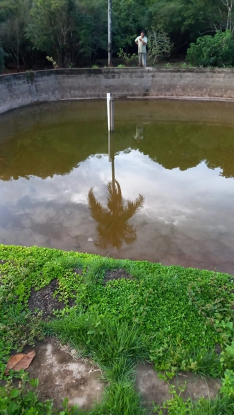 Fazenda boa de preço em Planaltina de Goiás: 9ª foto da galeria de imagens do imóvel