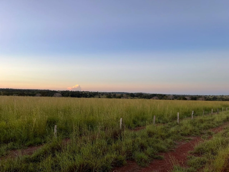 Fazenda no VALE DO ARAGUAIA - Dupla aptidão - ARAGUAÇU-TO: 21ª foto da galeria de imagens do imóvel