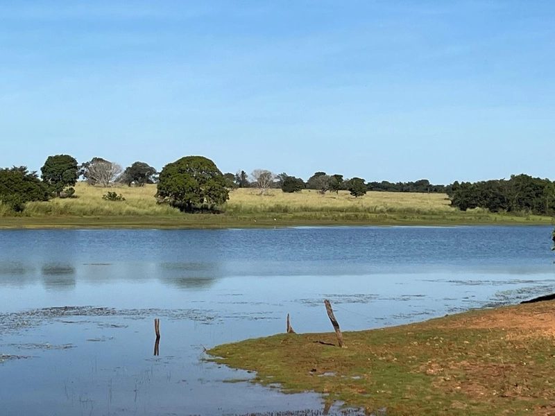 Fazenda no VALE DO ARAGUAIA - Dupla aptidão - ARAGUAÇU-TO: 24ª foto da galeria de imagens do imóvel