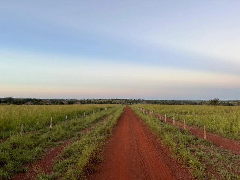 Fazenda no VALE DO ARAGUAIA - Dupla aptidão - ARAGUAÇU-TO: 20ª foto da galeria de imagens do imóvel