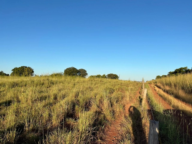 Fazenda no VALE DO ARAGUAIA - Dupla aptidão - ARAGUAÇU-TO: 12ª foto da galeria de imagens do imóvel