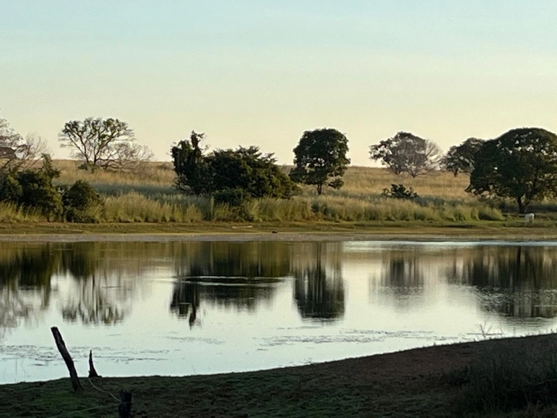 Fazenda no VALE DO ARAGUAIA - Dupla aptidão - ARAGUAÇU-TO: 19ª foto da galeria de imagens do imóvel