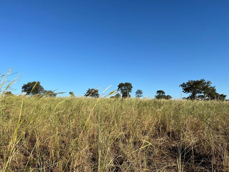 Fazenda no VALE DO ARAGUAIA - Dupla aptidão - ARAGUAÇU-TO: 7ª foto da galeria de imagens do imóvel