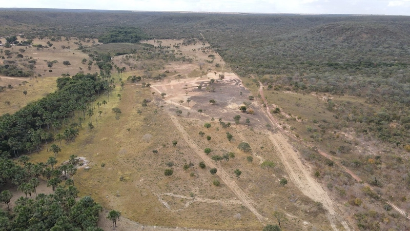 Fazenda a venda em Minas - OORTUNIDADE - Chapada Gaúcha/Arinos: 6ª foto da galeria de imagens do imóvel