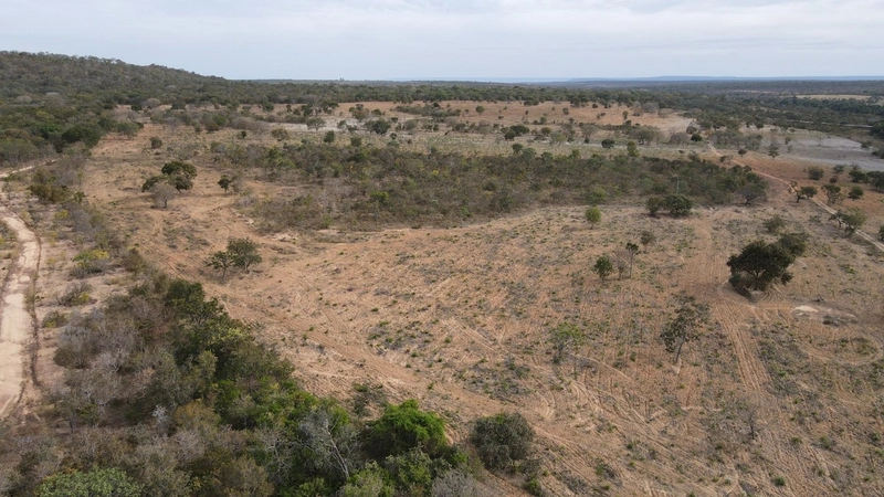Fazenda a venda em Minas - OORTUNIDADE - Chapada Gaúcha/Arinos: 4ª foto da galeria de imagens do imóvel