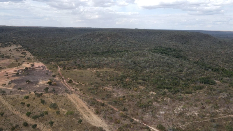 Fazenda a venda em Minas - OORTUNIDADE - Chapada Gaúcha/Arinos: 5ª foto da galeria de imagens do imóvel
