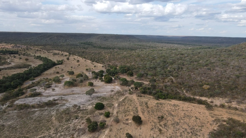 Fazenda a venda em Minas - OORTUNIDADE - Chapada Gaúcha/Arinos: 3ª foto da galeria de imagens do imóvel