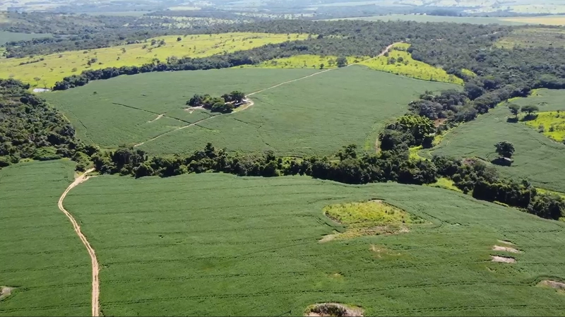 Fazenda a venda em Ipameri-GO, Dupla aptidão, SOJA-CAFÉ-LARANJA-GADO: 7ª foto da galeria de imagens do imóvel
