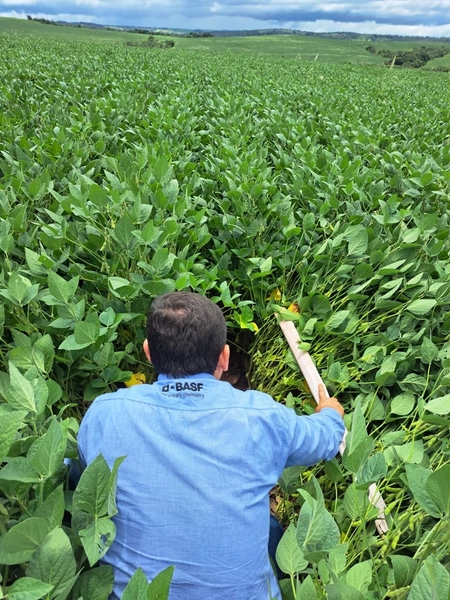 Fazenda a venda em Ipameri-GO, Dupla aptidão, SOJA-CAFÉ-LARANJA-GADO: 21ª foto da galeria de imagens do imóvel