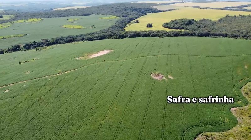 Fazenda a venda em Ipameri-GO, Dupla aptidão, SOJA-CAFÉ-LARANJA-GADO: 5ª foto da galeria de imagens do imóvel
